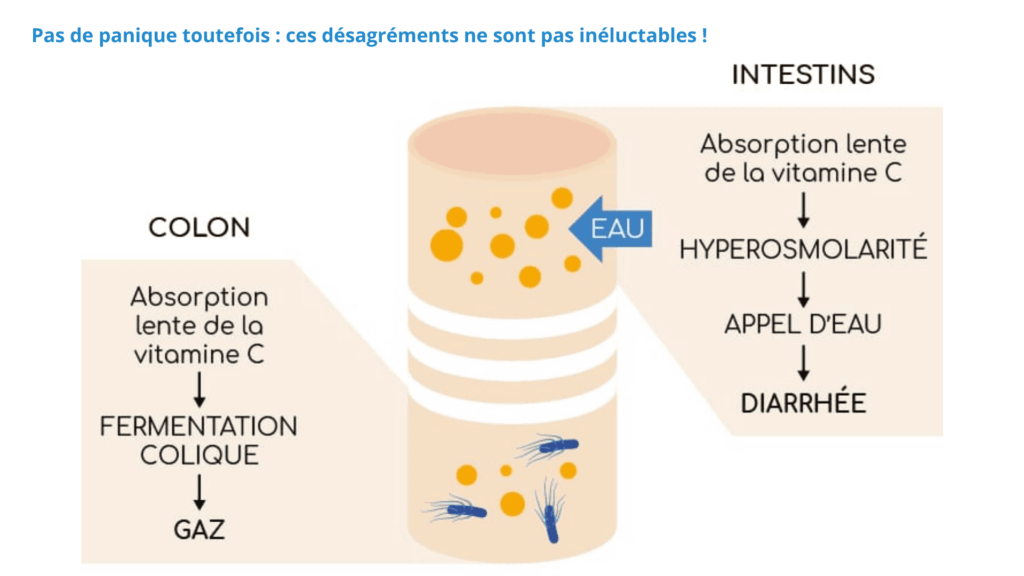Vitamine_C_troubles_osmotiques_intestinaux
