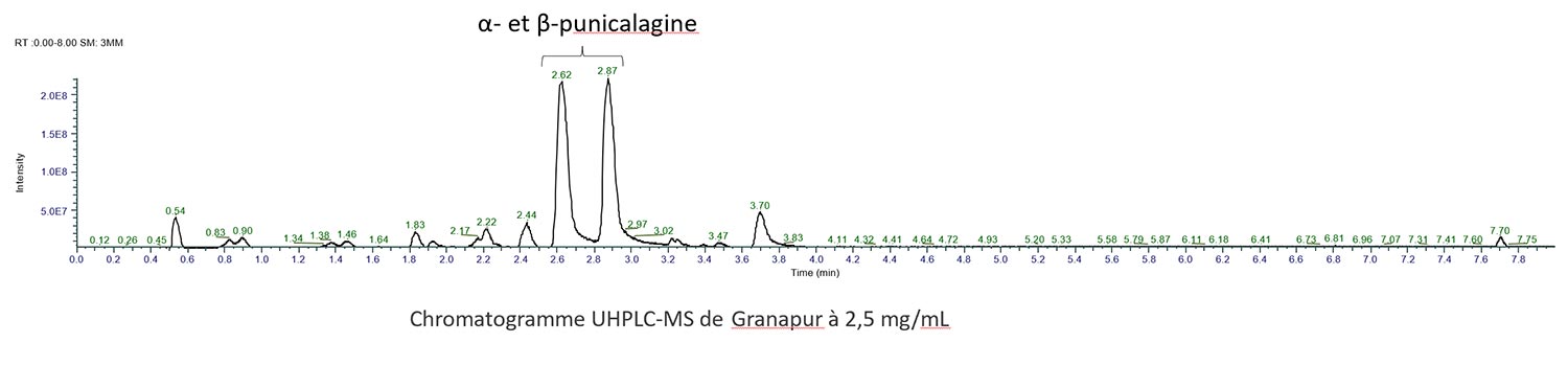 Grenade Bio Ellagitannins Punicalagine Analyse Chromatogramme