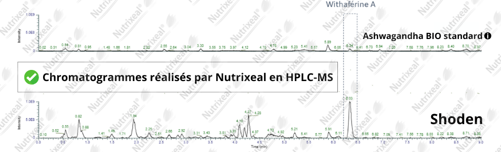 Chromatogrammes de la withaferine A pour l'ashwagandha et Shoden
