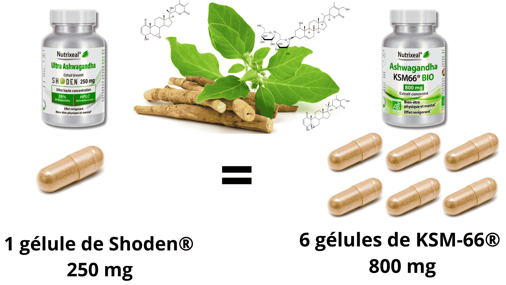 Comparaison de dosage de l'ashwagandha Shoden et l'ashwagandha ksm-66