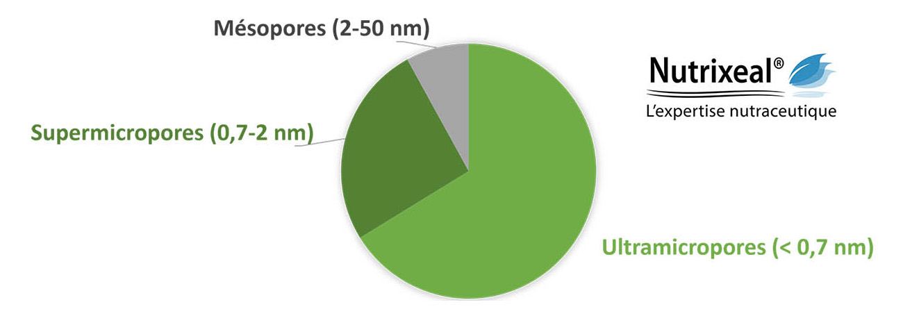 Charbon végétal actif bio - Ventre plat - Digestion - Gaz - BIOPTIMAL