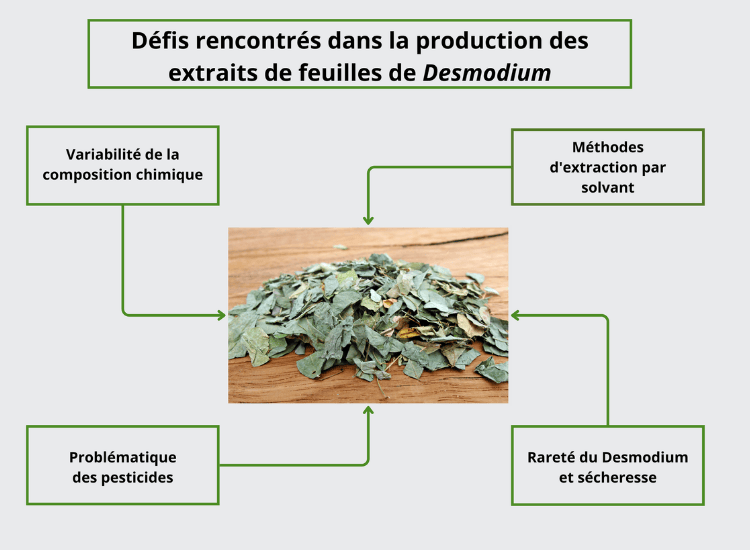 Défis et problématiques rencontrés dans la production des extraits de feuilles de desmodium adscendens