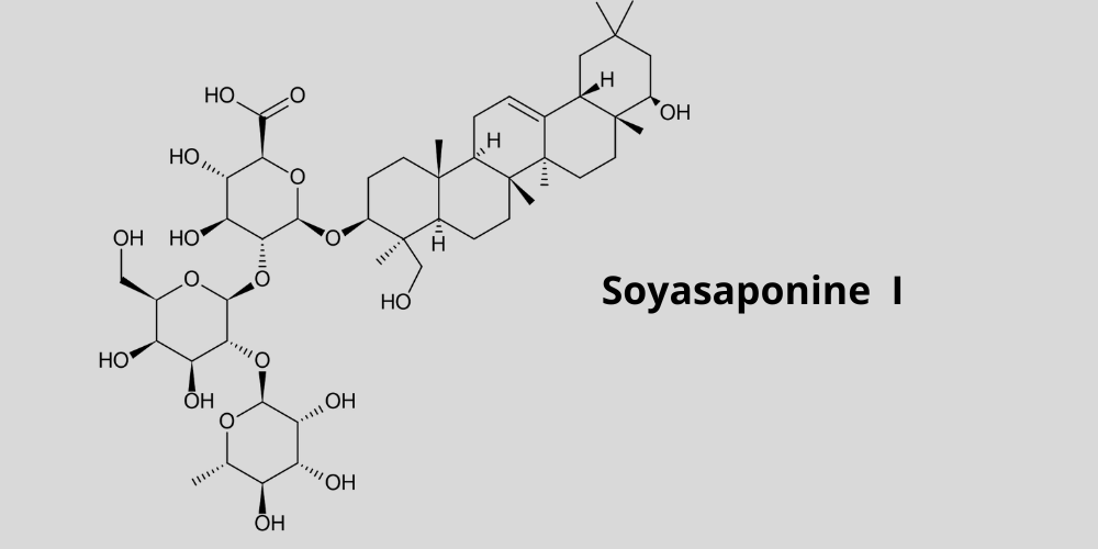Structure chimique de la Soyasaponine I, une des soyasaponines (saponosides) les plus actives des composés de desmodium adscendens.