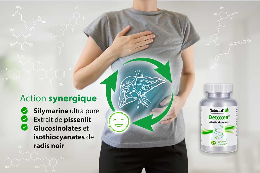 Synergie de silymarine, pissenlit et radis noir pour la Detoxification