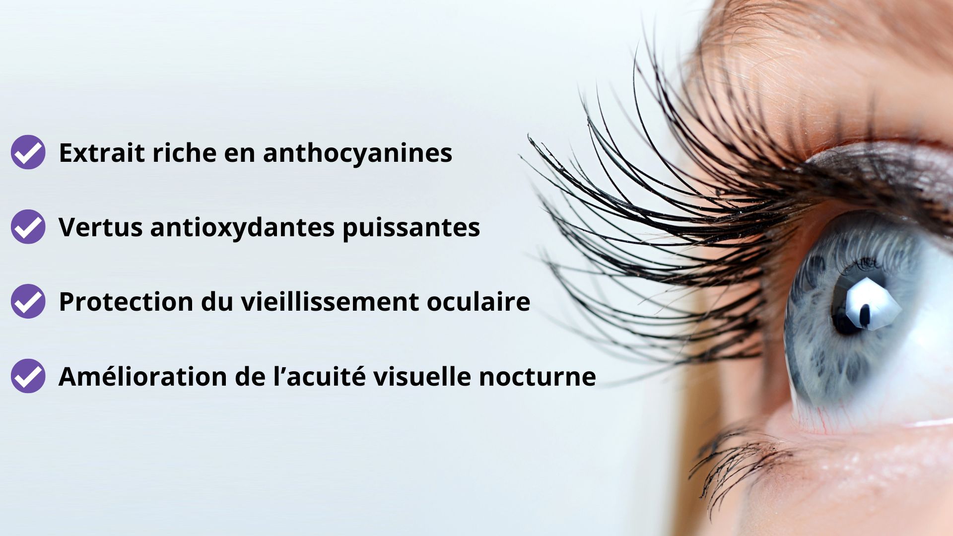 Les bienfaits des extraits de myrtille pour la santé oculaire