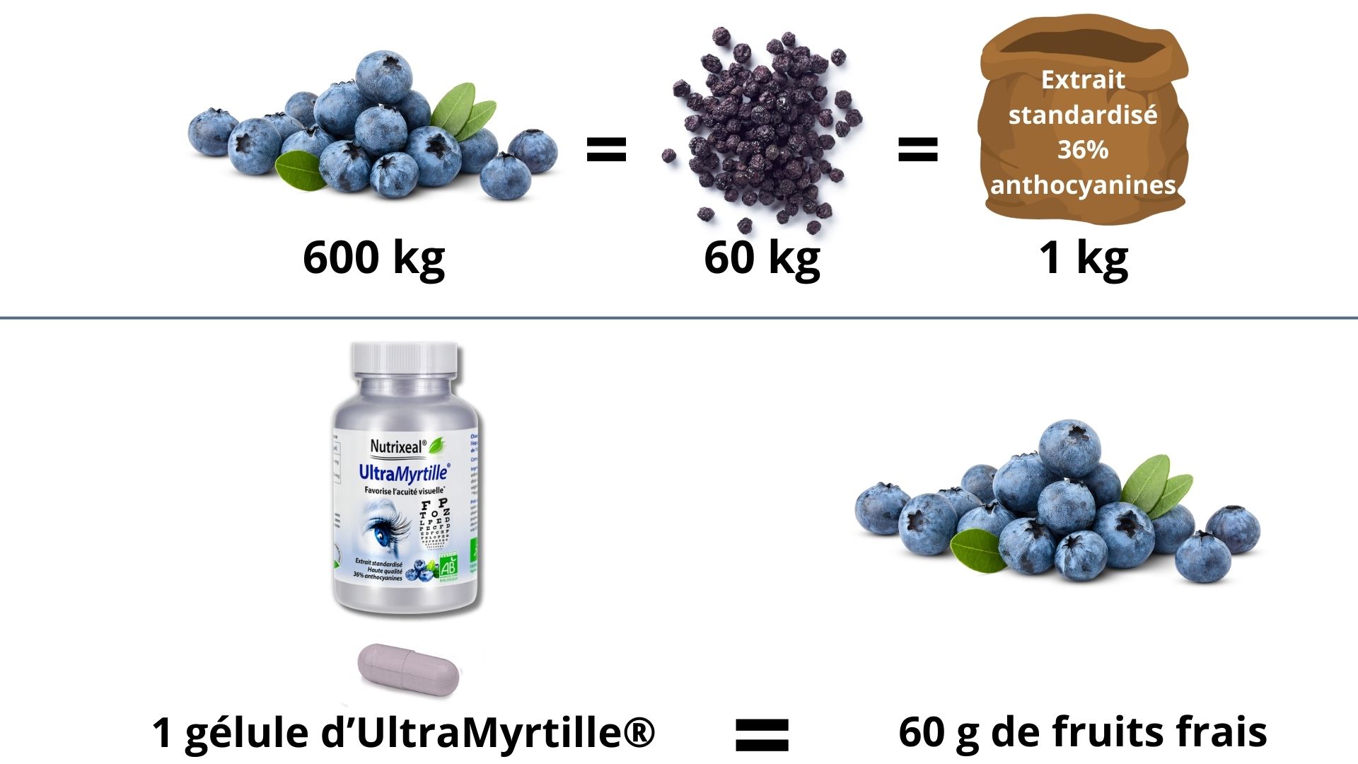1 kg d’extrait de myrtilles concentré à 36% d’anthocyanines équivaut à plus de 60 kg de fruits secs, soit environ 600 kg de fruits frais