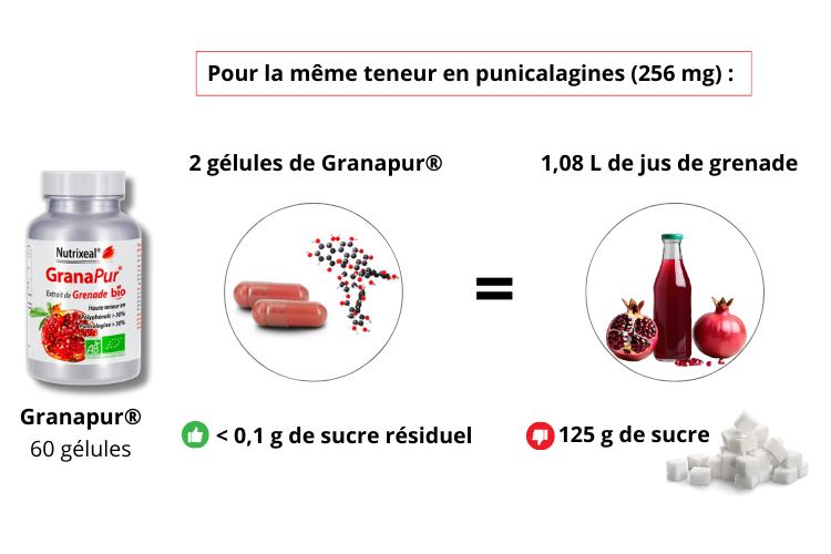 Comparaison de la concentration en punicalagines : Granapur surpasse largement les jus de grenade BIO