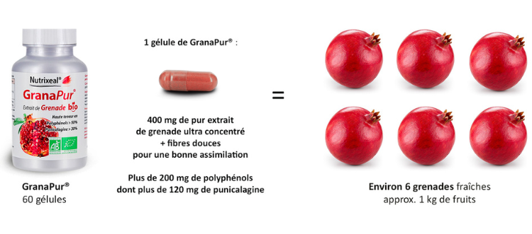 Notre complément alimentaire Grenade BIO contient un extrait ultra concentré de grenade bio