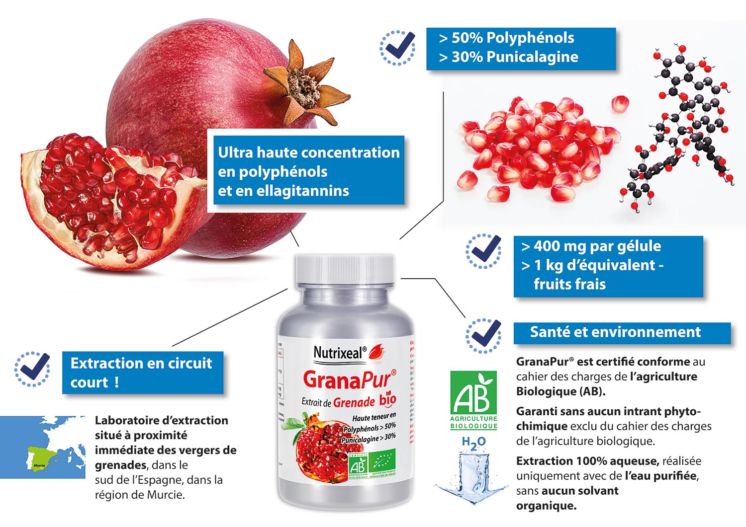 Les points forts de Grenade Bio, un complément alimentaire à base de grenade Ultra haute concentration en polyphénols et en ellagitannins, >50% de polyphénols et >30% de punicalagine, >400 mg par gélule, >1 kg d'équivalent -fruits frais, Produit certifié bio 