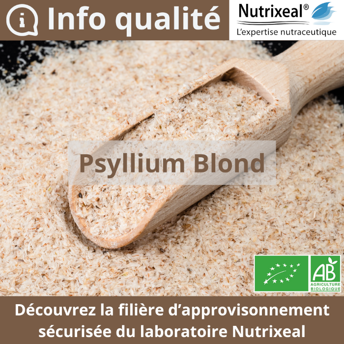 Psyllium bio blond en téguments