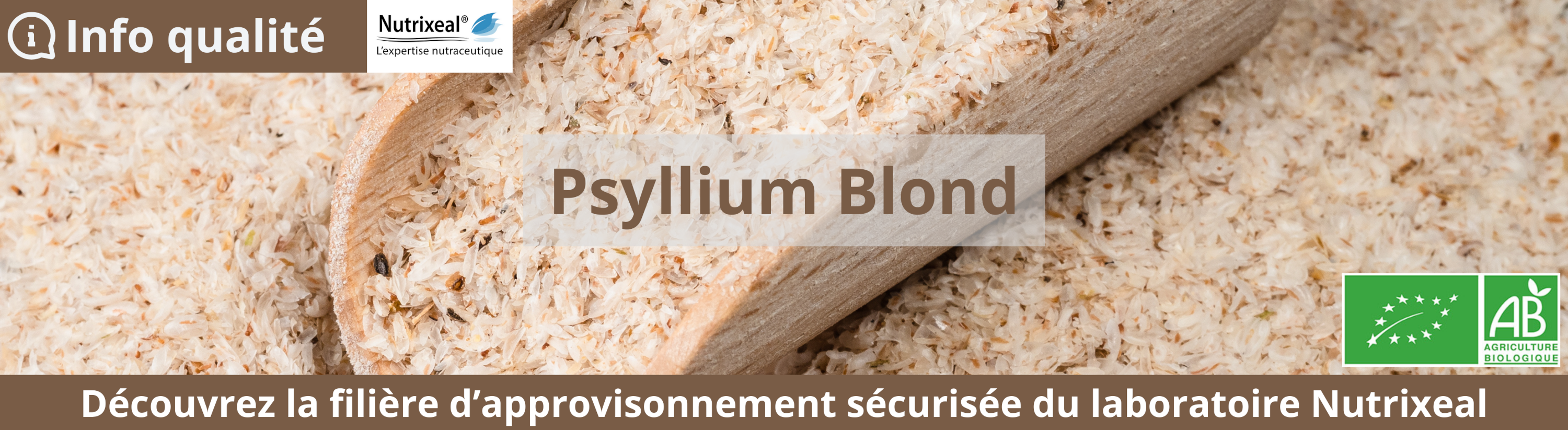 Psyllium blond bio en téguments 