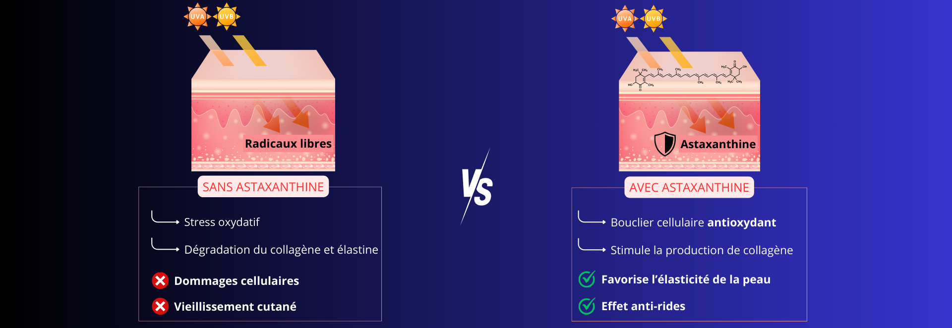 Bienfaits de l'astaxanthine sur la beaute de la peau