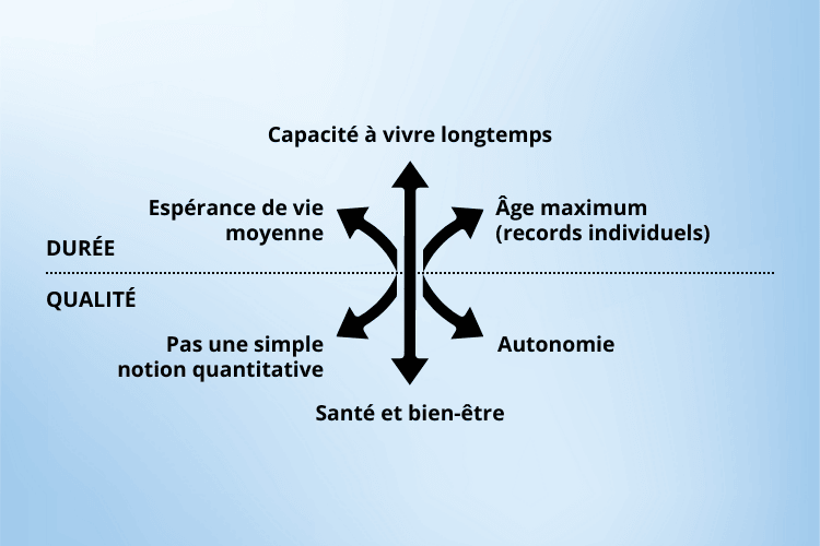 Qu'est-ce que la longévité