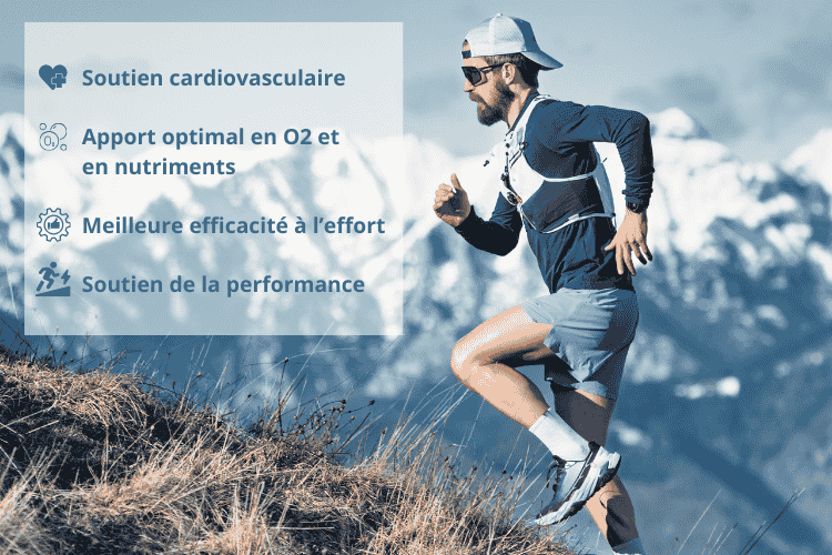 Role des omega-3 dans le systeme cardiovasculaire