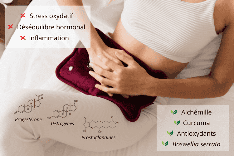 Fonctionnement des prostaglandines et implication dans les douleurs menstruelles