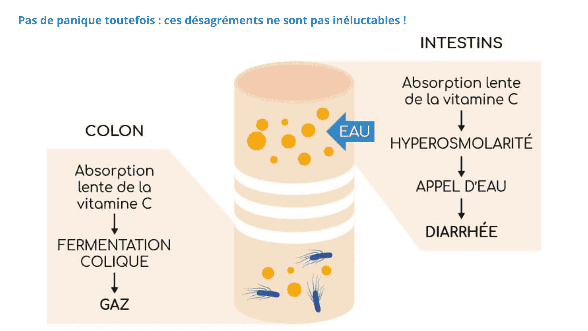 vitamine C et troubles osmotiques intestinaux