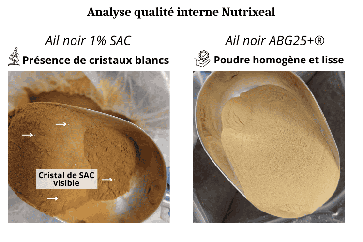 Analyse qualite interne ail noir photo poudres
