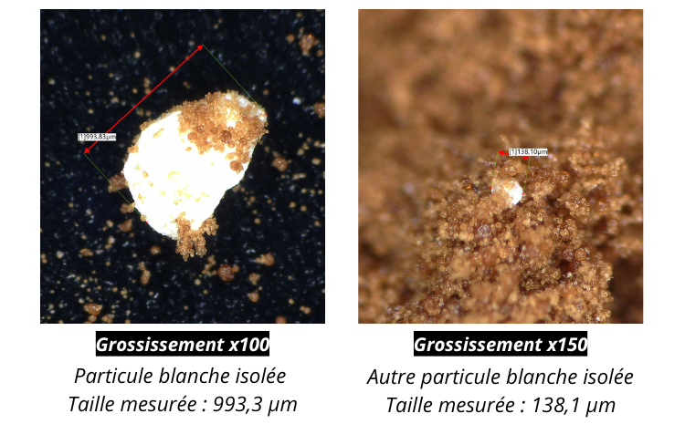 Cliches microscope Keyence ail noir un pour cent