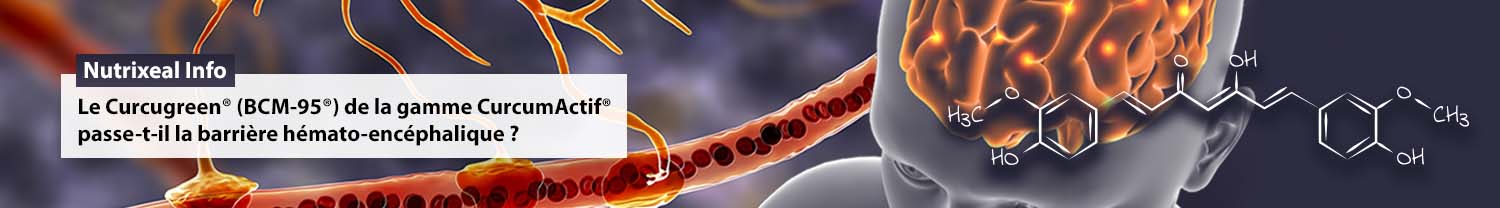 Le Curcugreen (BCM-95®) de la gamme CurcumActif passe-t-il la barrière hémato-encéphalique ?
