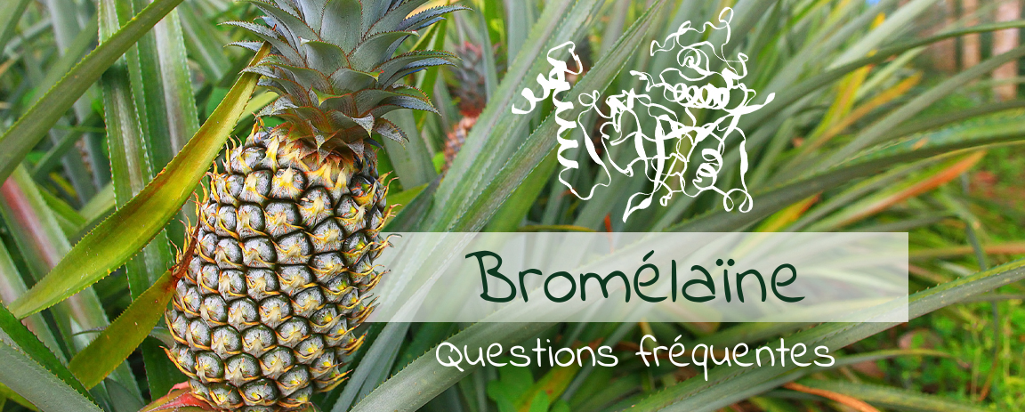 Questions fréquentes sur la bromélaïne