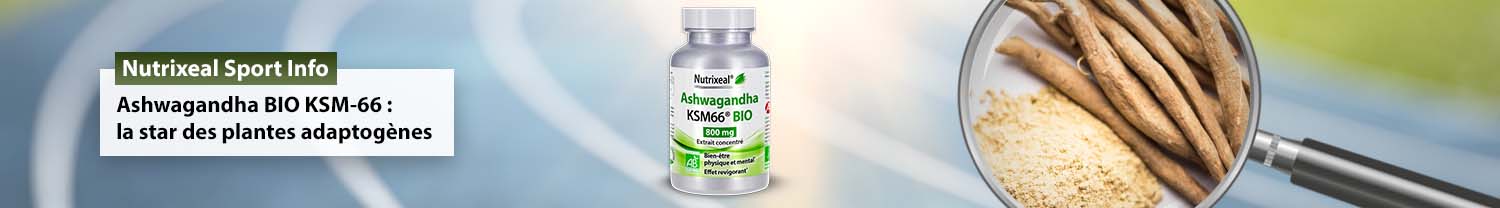 Ashwagandha BIO KSM-66 : la star des plantes adaptogènes
