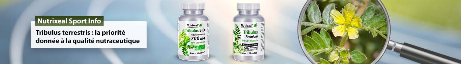 Tribulus terrestris : la priorité donnée à la qualité nutraceutique