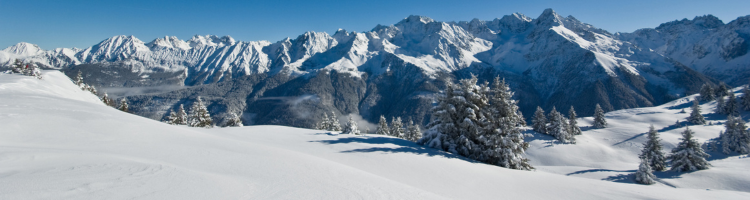 Sélection de compléments alimentaires pour l'été