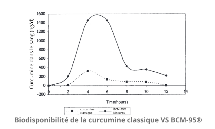 Biodisponibilité de la curcumine classique VS BCM-95®