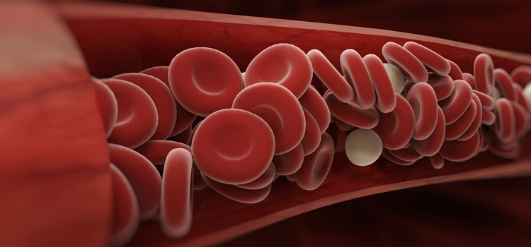 Circulation sanguine et nutraceutique - Gamme Nutrixeal