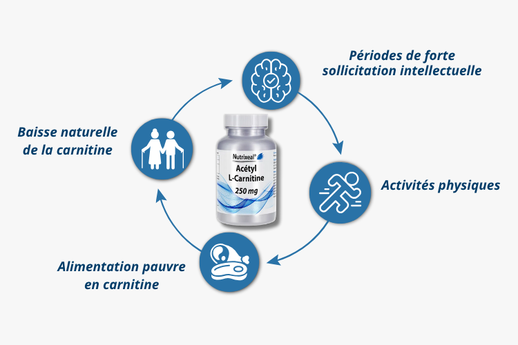 Pour qui Acétyl-L-carnitine forme acétylée de la L-carnitine
