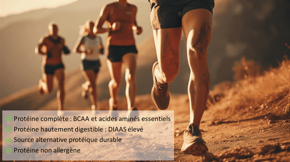 Levure nutritionnelle riche en protéines de haute qualité