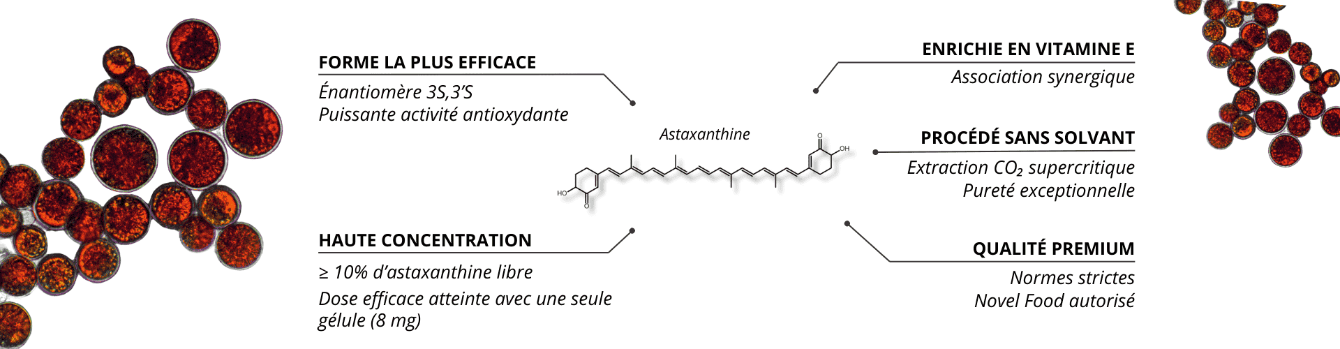 Pourquoi choisir vitaxanthine