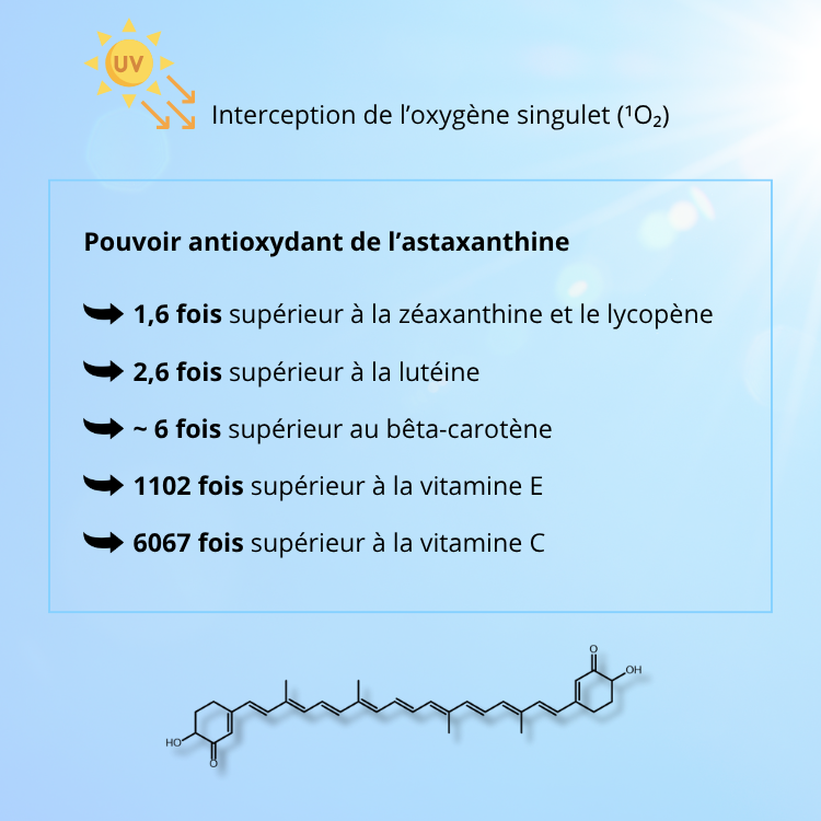 L'astaxanthine Roi des carotenoides
