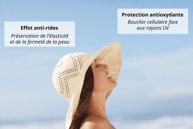 astaxanthine actif clé de la beauté de la peau