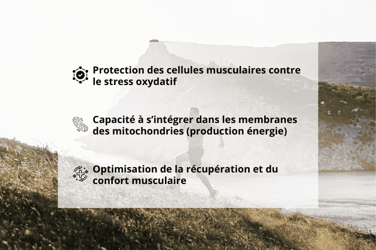 bienfaits de l'astaxanthine pour les sportifs