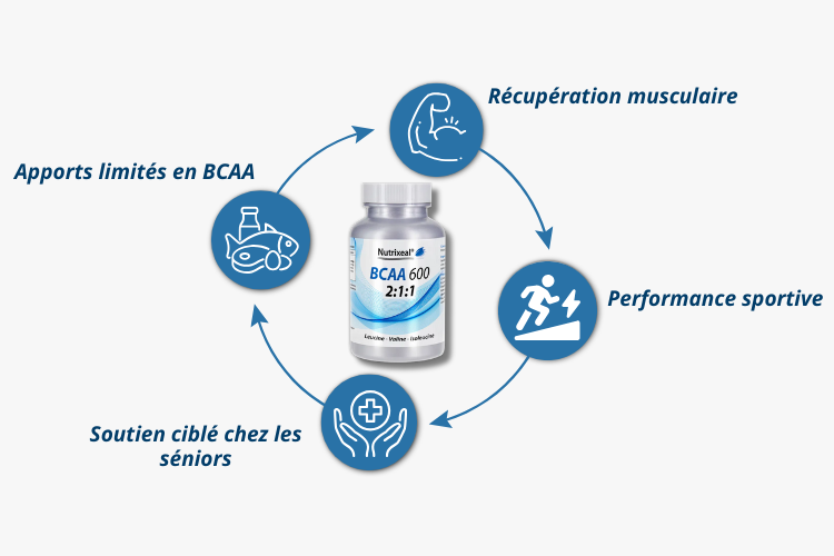 Pour qui lesBCAA 211 (Branched Chain Amino Acids) acides aminés branchés