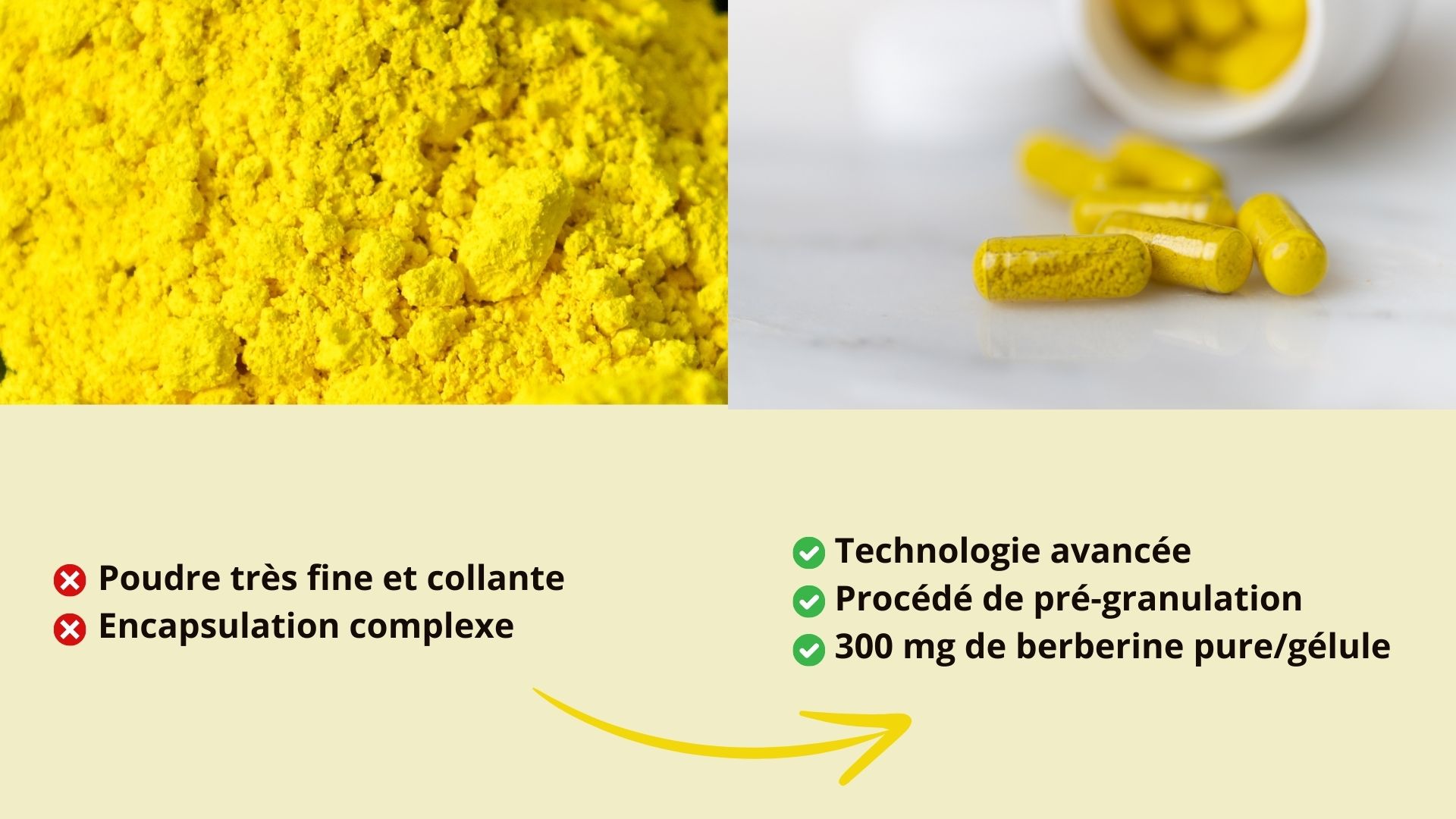 Extrait De Berbérine 1800 Mg Par Gélule – Soutien Cardiaque Et Glycémique – 30/60/120 Capsules – Neuf