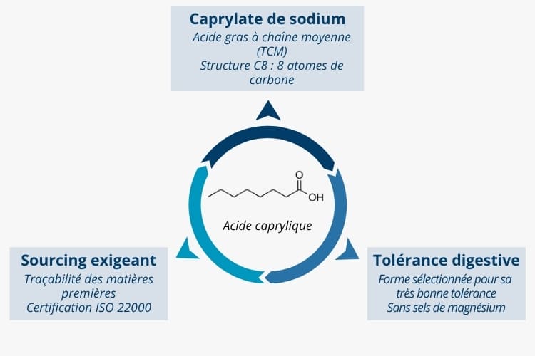 acide caprylique