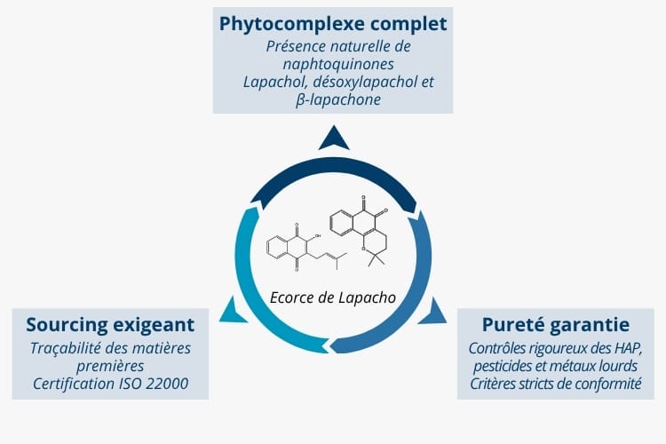 Extrait d'écorce de pau d'arco lapacho