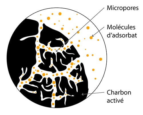 Illustrastion de la structure poreuse du charbon végétal activé