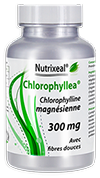 chlorophylle (Chlorophylline magnésienne) associé ssociation avec des fibres douces d'acacia. 