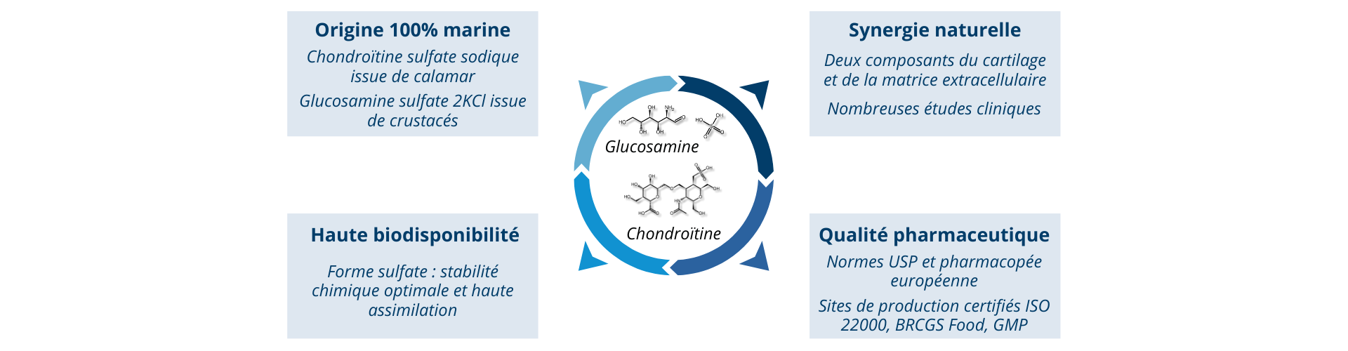 Atouts de chondrocean