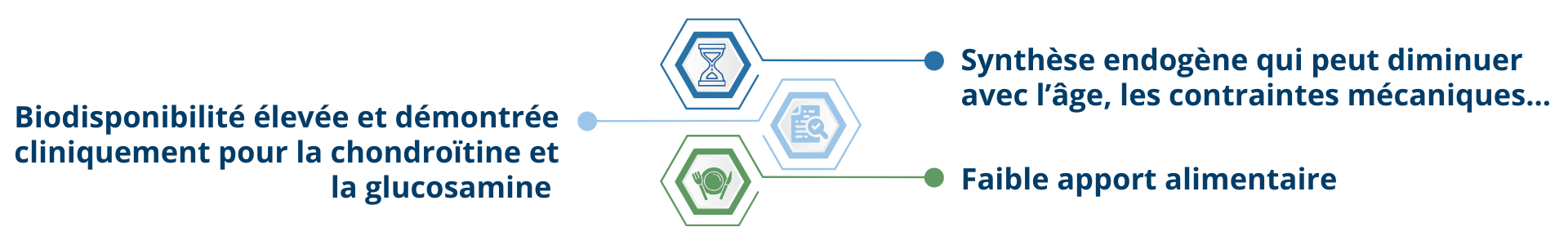Bienfaits de la glucosamine et chondroitine marines dans Chondrocean