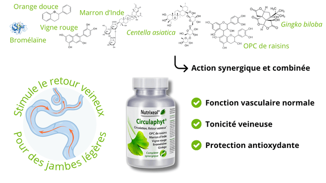 Circulaphyt une aide supplementaire et complémentaire bénéfique à la circulation veineuse et pour le retour veineux