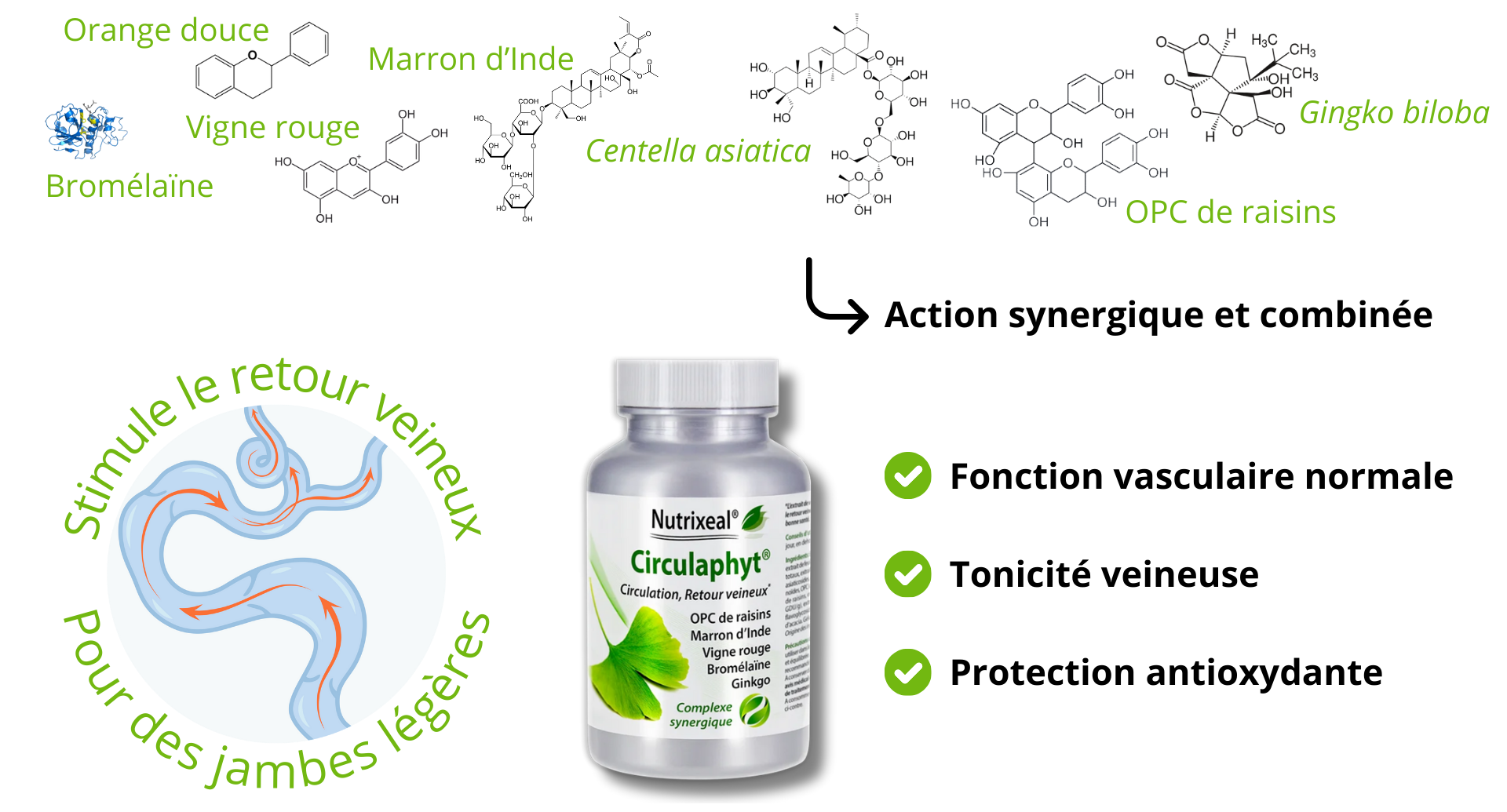 Circulaphyt une aide supplementaire et complémentaire bénéfique à la circulation veineuse et pour le retour veineux