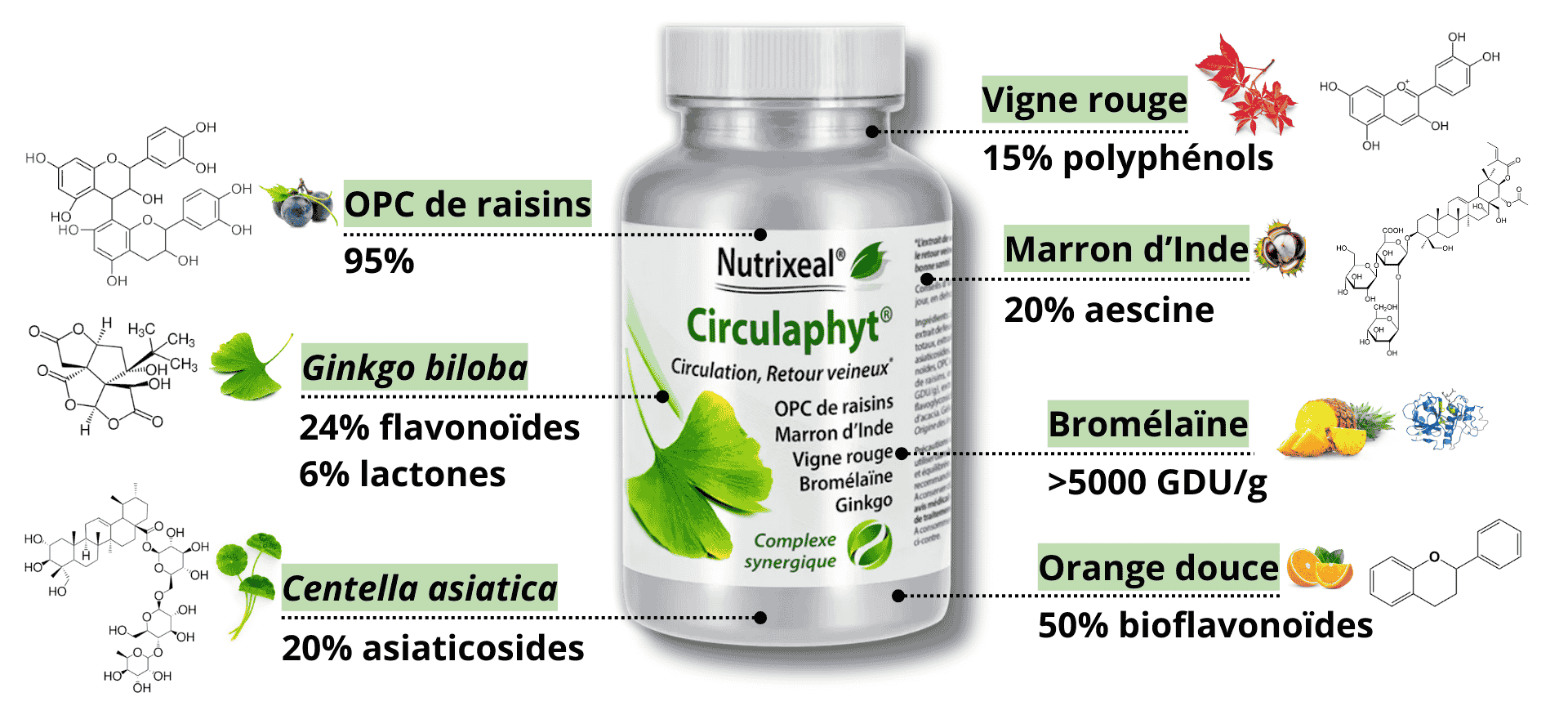 Circulaphyt un complexe synergique ideal pour la circulation veineuse et pour des jambes legeres