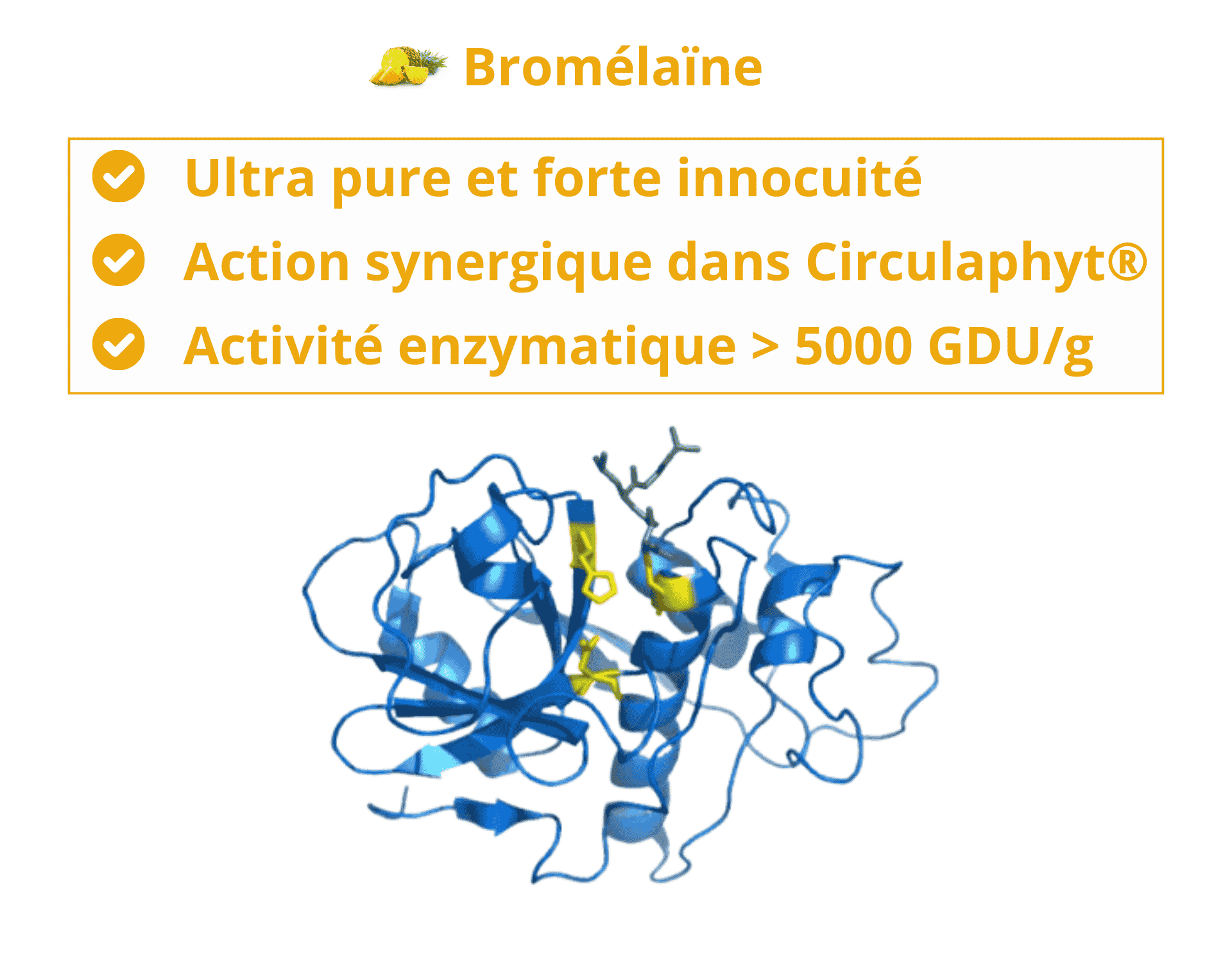 bromélaine nutrixeal qualité premium et très haute activité enzymatique