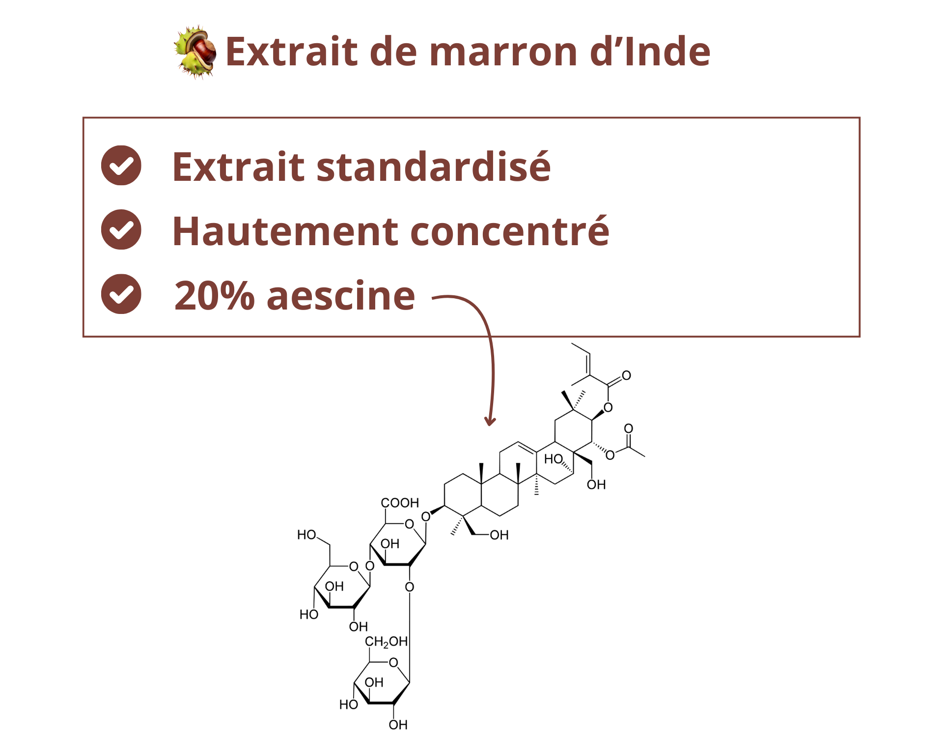 Extrait de marron d'Inde standardisé en aescine