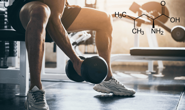 Naticol® : une teneur supérieure à 6% en BCAA