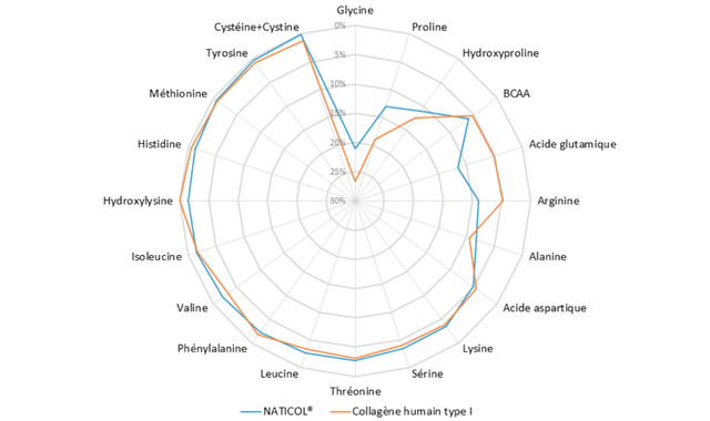 Aminogramme comparatif entre le collagène marin et le collagène humain de type I